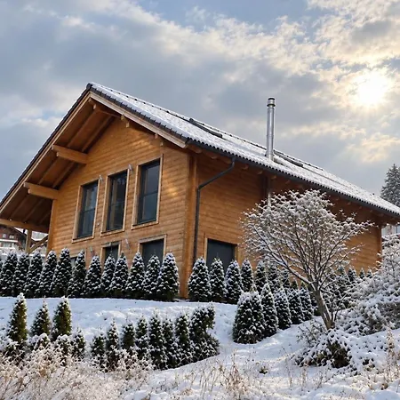 Winter Wonderland Near Interlaken • Ac • Hot Tub By Swissdreamliving بيتنبرغ
