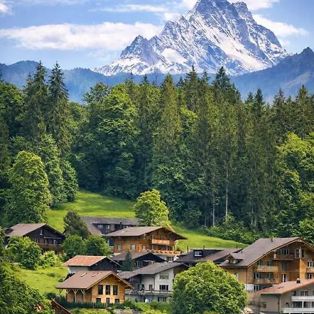 Winter Wonderland Near Interlaken • Ac • Hot Tub By Swissdreamliving شاليه بيتنبرغ